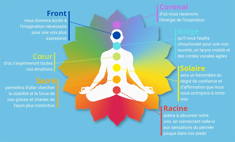 description des 7 chakras de haut en bas et leur relation avec la voix :
- Coronal : réception de l'énergie de l'inspiration
- Front : accès à l'imagination pour une voix plus expressive
- Gorge : à chouchouter pour une voix ouverte, un larynx mobile et des cordes vocales agiles
- Cœur : d'où s'expriment toutes nos émotions
- Solaire : baromètre du degré de confiance et d'affirmation de sa voix
- Sacré : stabilité et forces des graves, chant instinctif
- Racine : sécuriser votre voix