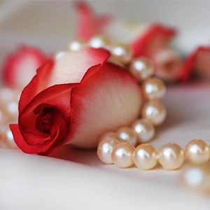 collier de perle enroulant une rose blanche et rouge