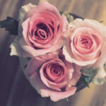 Trois roses en forme de coeur